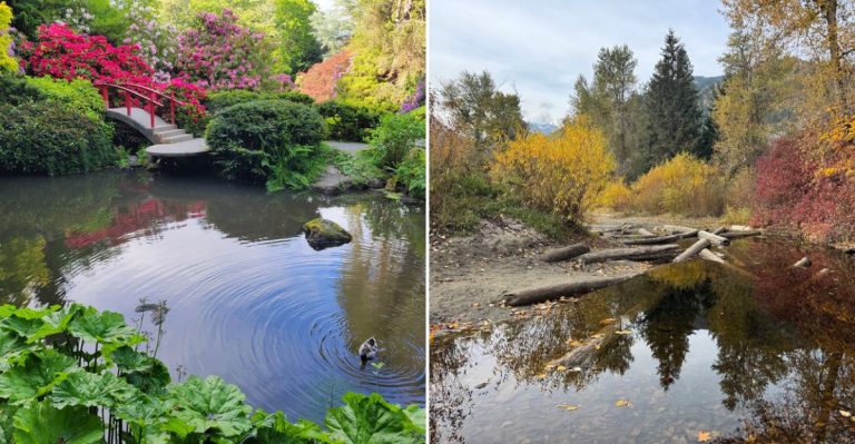 12 Washington Fall Day Trips That Are Big On Fun And Easy On The Wallet