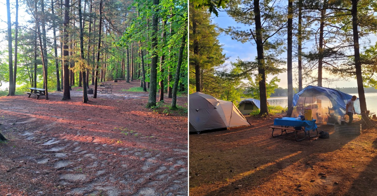 Bodi Lake State Forest Campground