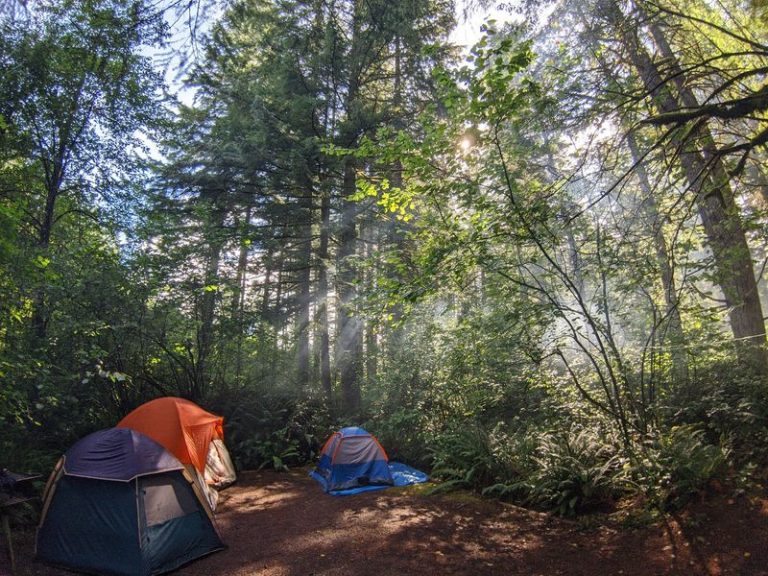 9 Free Washington Campgrounds Where You Just Pull In And Pitch Your Tent