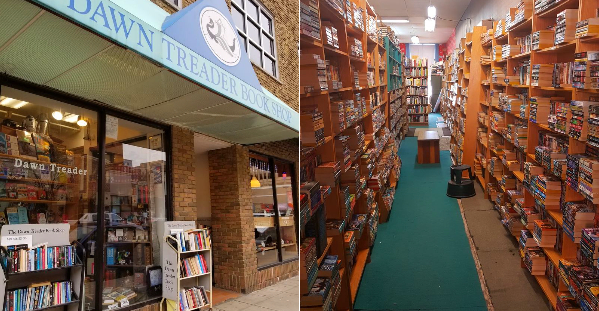 Best Michigan Used Bookstores