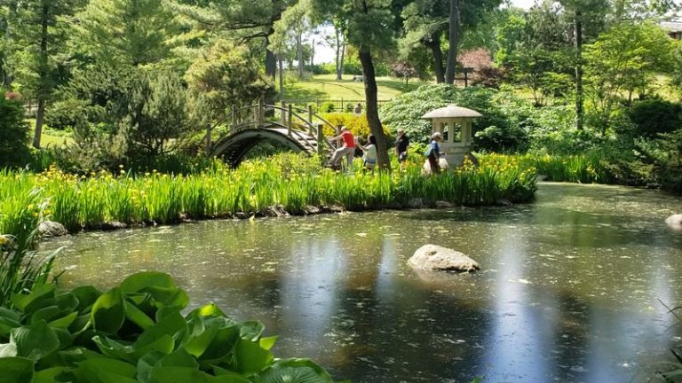 This Illinois Sculpture Trail Winds Through The Woods Past Dozens Of Hidden Art Installations
