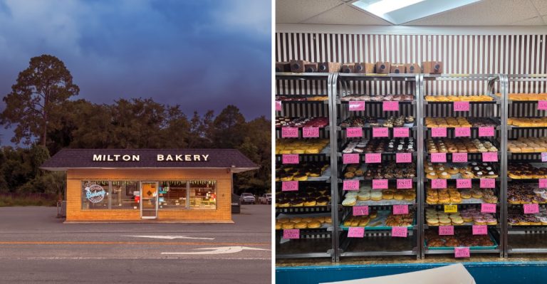 We Ranked 10 Florida Donut Shops From Good To Surprisingly Addictive