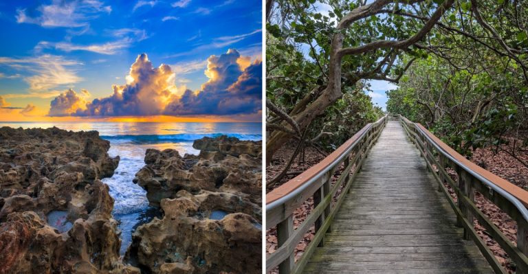 The Florida Beach Where Sea Glass Is Surprisingly Easy To Find This Year