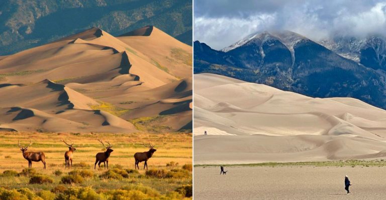 North America’s Tallest Dunes Rise From An Unexpected Corner Of Southern Colorado