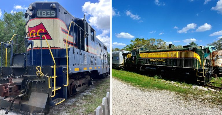 This Gorgeous Train Ride In Florida Is Packed With Fall Scenery And Fun For All Ages