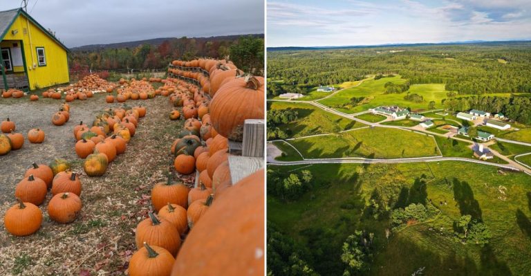 12 Maine Pumpkin Patches Worth Adding To Your Fall Calendar In 2026