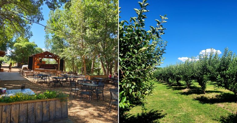 This Colorado Restaurant Tucked Inside An Apple Orchard Is A Fall Must-Visit