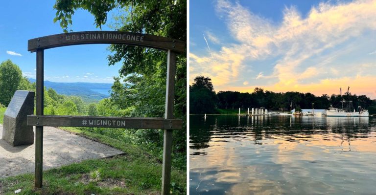 8 South Carolina Scenic Drives That Truly Belong On Every 2026 Bucket List