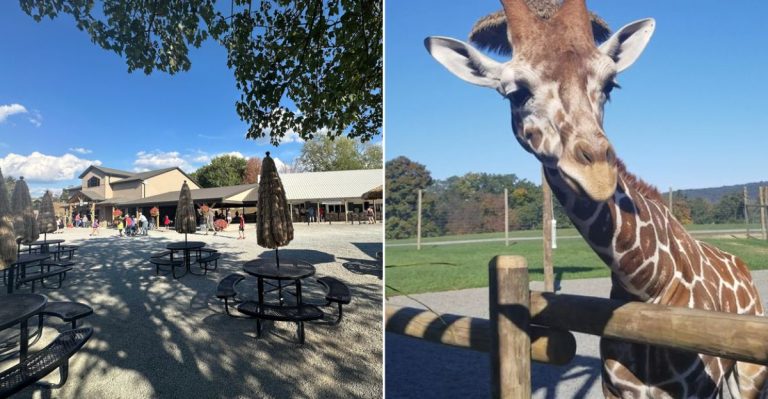 A Family-Owned Pennsylvania Zoo Hides An Enormous Museum Collection Behind Its Animal Exhibits