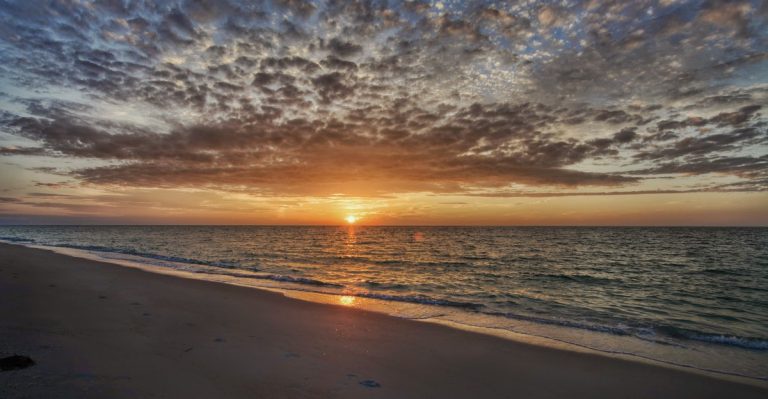 This Untouched Florida Barrier Island Has Wild Dolphins, Nesting Sea Turtles, And No Paved Roads