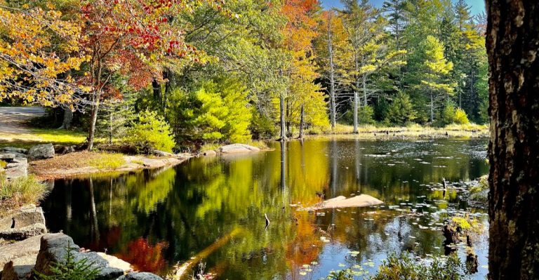 This Maine State Park Opens After Dark For Haunted Trails And Bat Walks