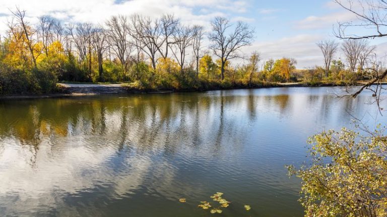 You Can Crack Into Fresh Lake Perch At These 7 Illinois Fish Houses Worth The Drive