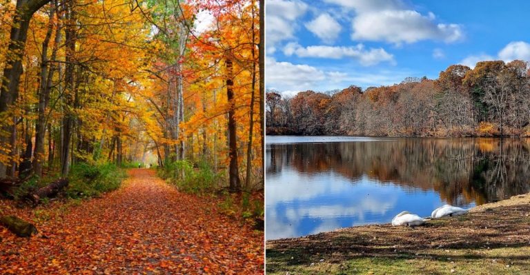 10 Places In New York Where You Can See Incredible Fall Foliage Without The Crowds