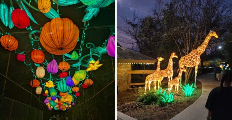 This Arkansas Zoo Transforms Into A Glowing Wonderland With Giant Animal Lanterns This November