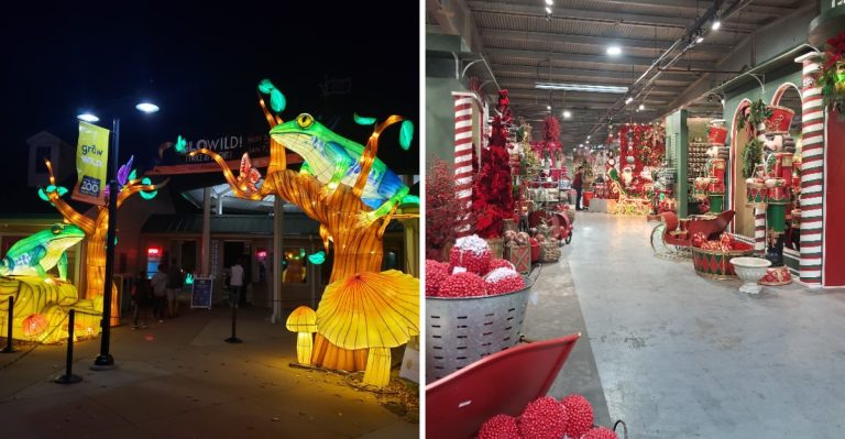 5 Unusual Arkansas Festivals Worth Driving Across The State For This November