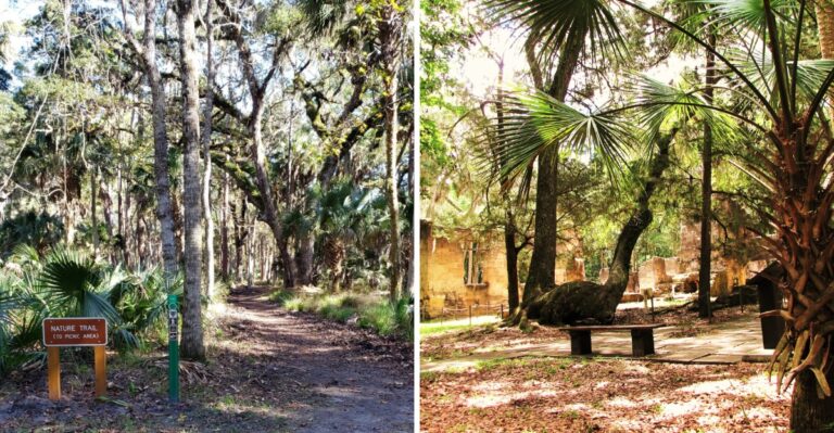A Mysterious Trail At This Florida State Park Leads To The Haunting Ruins Of An Abandoned Sugar Mill