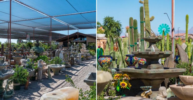 This Arizona Garden Center Turns Citrus Season Into A Full-Blown Celebration