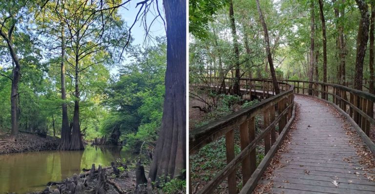 This 2-Mile Arkansas Trail Winds Through A Wildlife Haven Most Drivers Miss