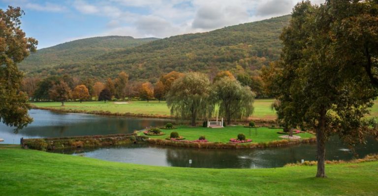 This Small Town In Upstate New York Is Famous For Black Bear Encounters