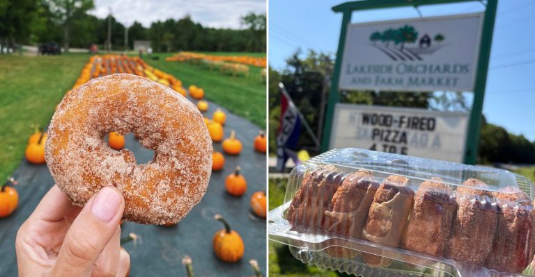 10 Maine Apple Orchards Where Cider Donuts Make The Fall Drive Worth It