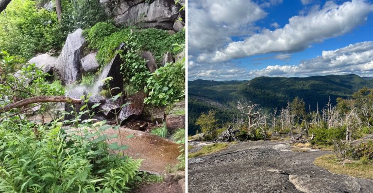 The South Carolina Hiking Trail Locals Avoid In October Because Rattlesnakes Are Too Active