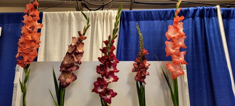 These 7 Illinois Farmers Markets Where Local Growers Sell Fresh Produce