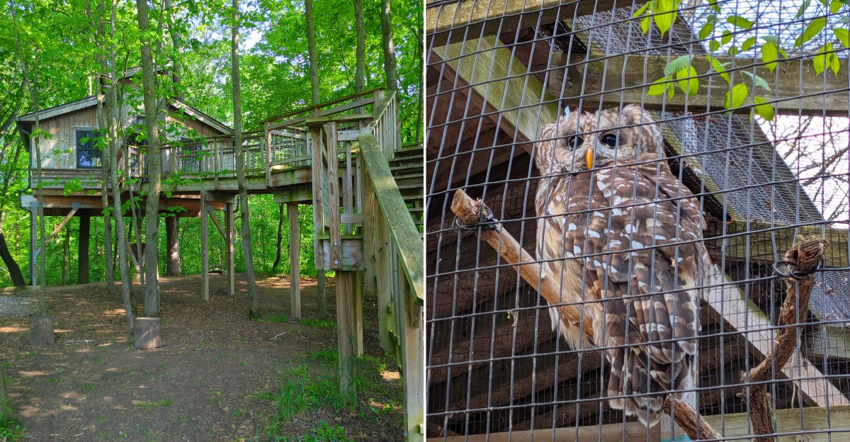 Michigan Nature Parks