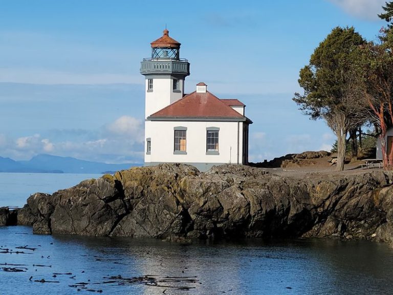 Orcas Swim Right Past The Rocks At This Washington Park, No Boat Needed