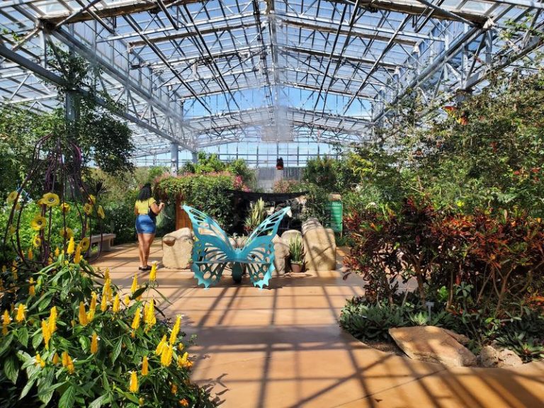 Hundreds Of Butterflies Land On Your Shoulders Inside This Scottsdale, Arizona Conservatory