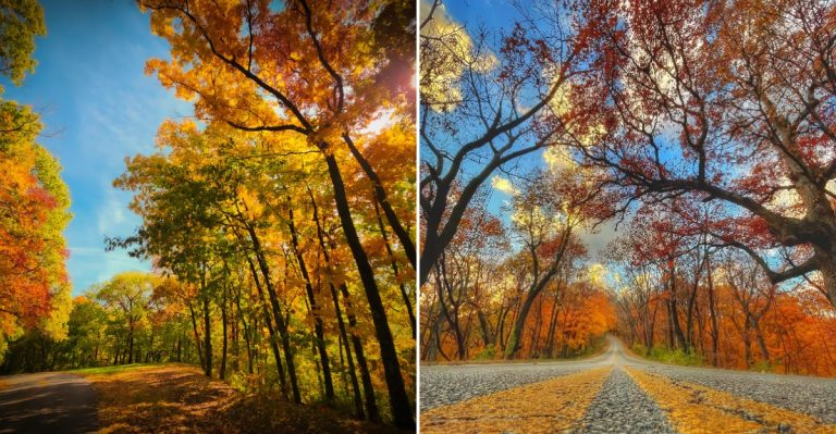 This Breathtaking Illinois State Park Has Canyons And Waterfalls Straight Out Of An Adventure Movie