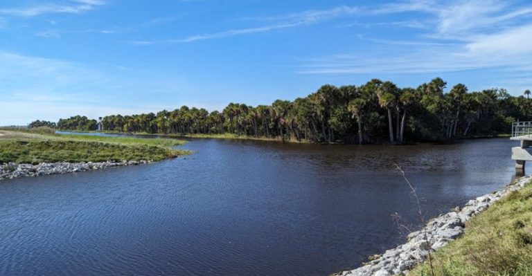 This Hidden Florida Preserve Feels Like A Wildlife Park, But Admission Is Completely Free