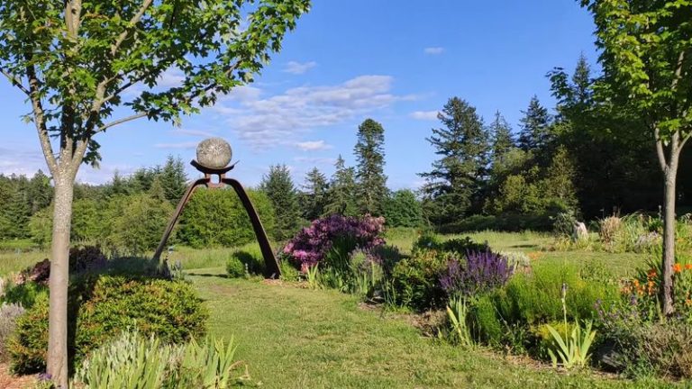 This Washington Sculpture Park Feels Like Wandering Whimsical Woods Full of Art, and It’s Free