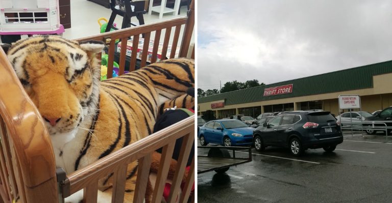 This Massive South Carolina Thrift Store Has Bargains So Good, It’s Worth The Whole Road Trip