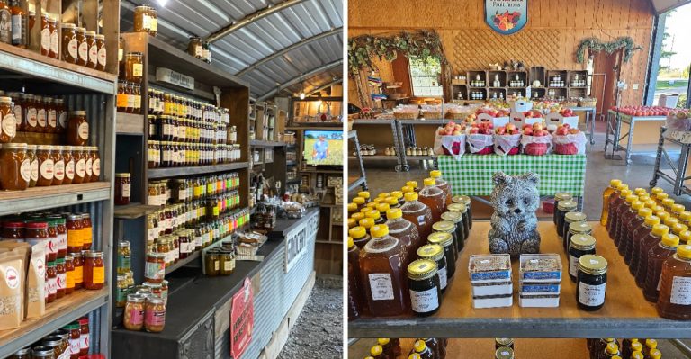 6 Arkansas Grocery Markets Stocking Up On Fall Harvest Goods Right Now