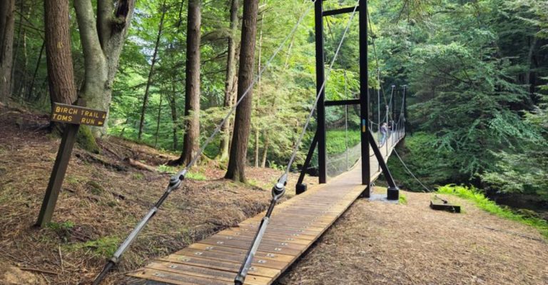 This 2.3-Mile Hike In Pennsylvania Leads You To A Swinging Suspension Bridge Hidden In The Woods