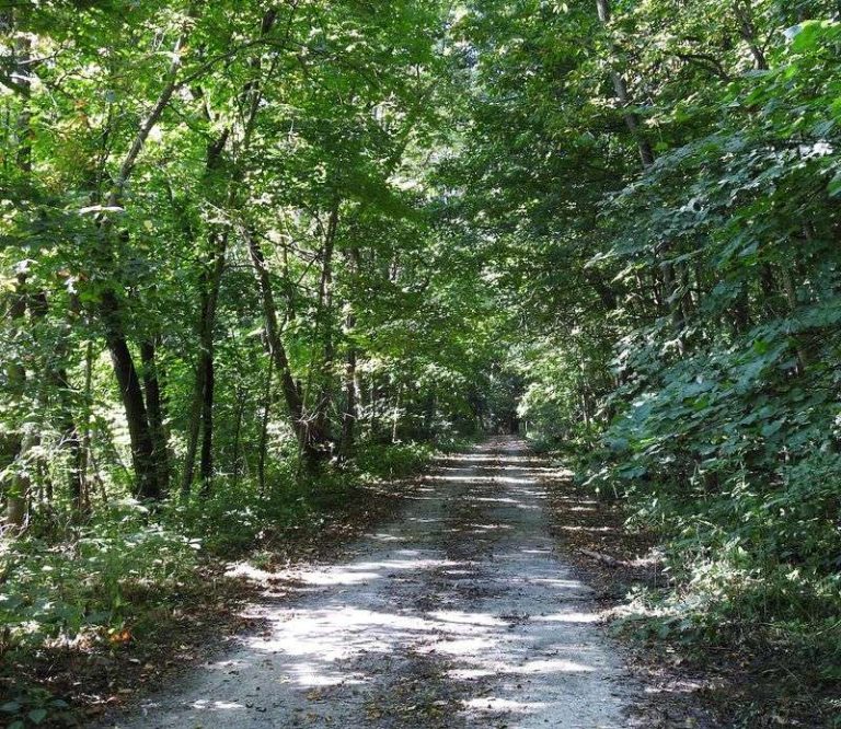 Miller-Anderson Woods Hides A Wooded Bluff-Top Overlook With Sweeping Views Across The Illinois River Valley