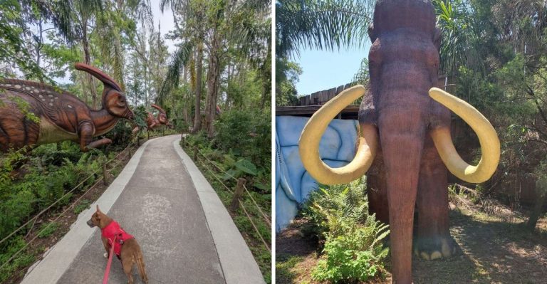 Most People In Florida Have No Idea This Dinosaur Playground Is Hidden In The Woods