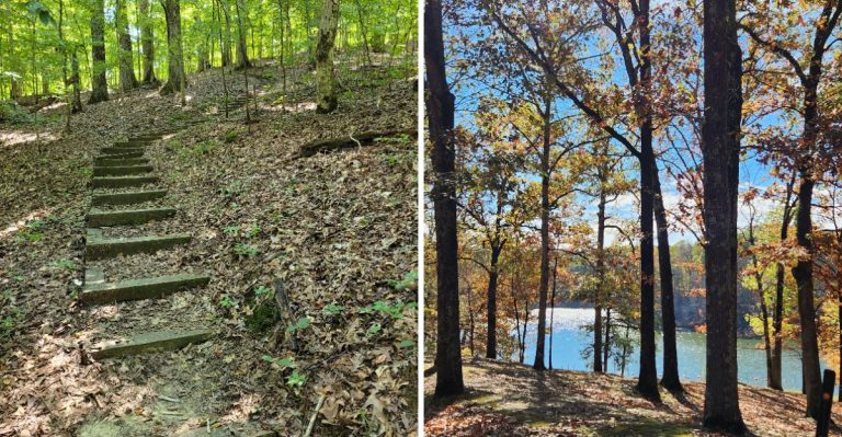 This Quiet Arkansas Town Has Some Of The Best Hiking Trails Outsiders Rarely Hear About