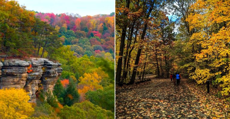 13 Ohio Forest Trails Worth Saving For Peak Fall Color
