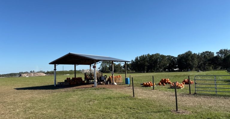 People Line Up For The Fresh Apple Cider Donuts At This Florida Farm
