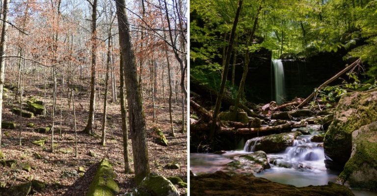 This Short Arkansas Trail Leads To A Secret Waterfall Most Visitors Miss