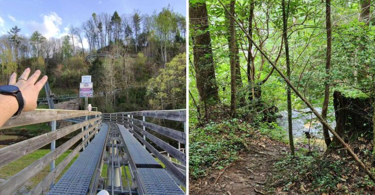 This South Carolina Mountain Coaster Lets You Control The Speed All The Way Down