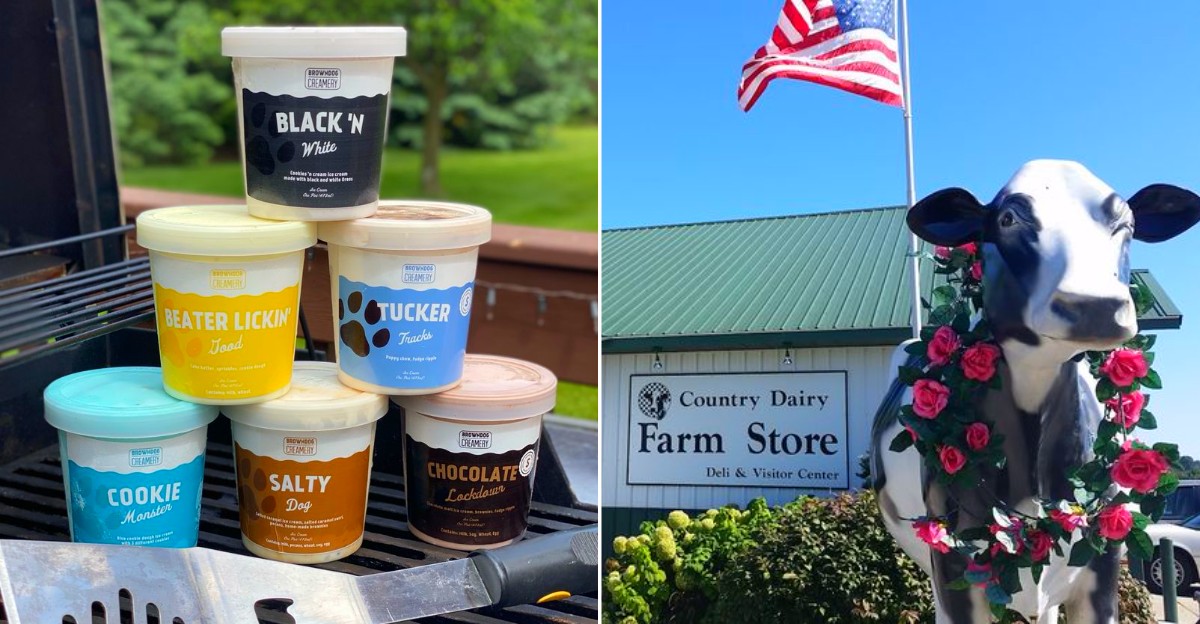 Best Places To Find Superman Ice Cream