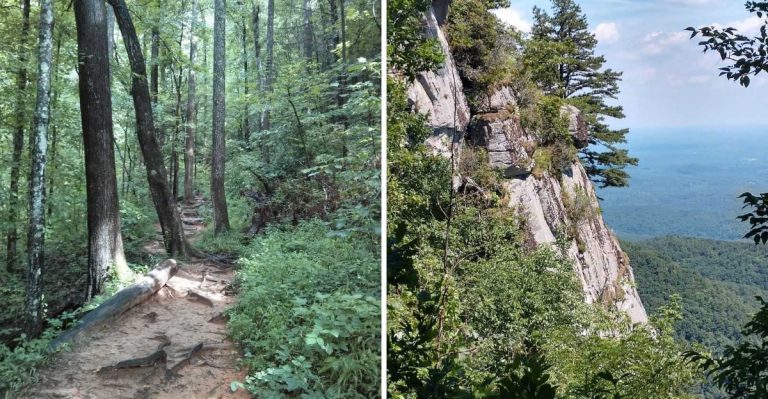 10 South Carolina Trails Where Staying Bear-Aware Is Seriously Important