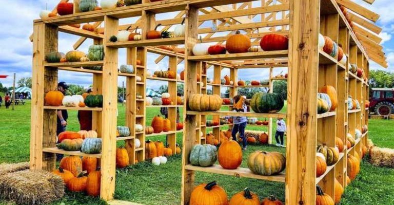 This Indiana Orchard Is One Of The Best Places To Spend A Crisp Fall Day
