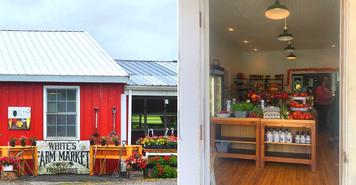 Michigan Farm Markets Are Overflowing With Fresh Produce