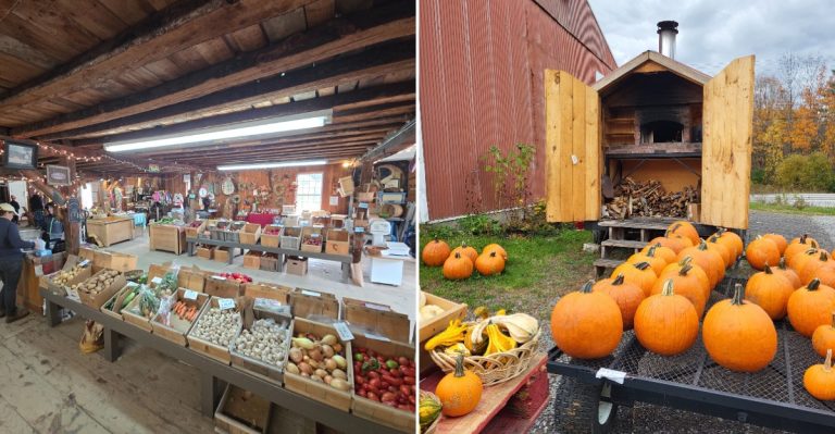 8 Budget-Friendly Maine Pumpkin Patches That Make Fall Decorating More Affordable