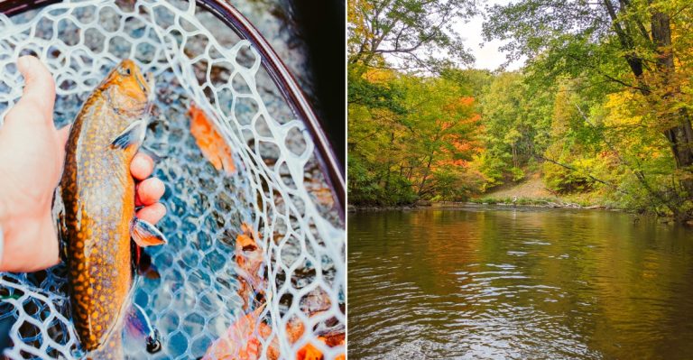 Michigan Trout Spots