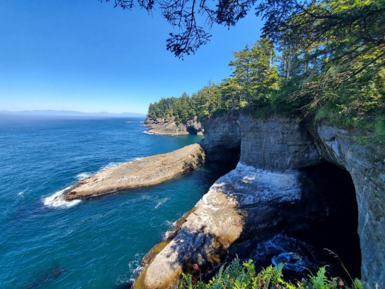 Follow This Free Washington Boardwalk To Watch Tufted Puffins Nest On A Seaside Cliff