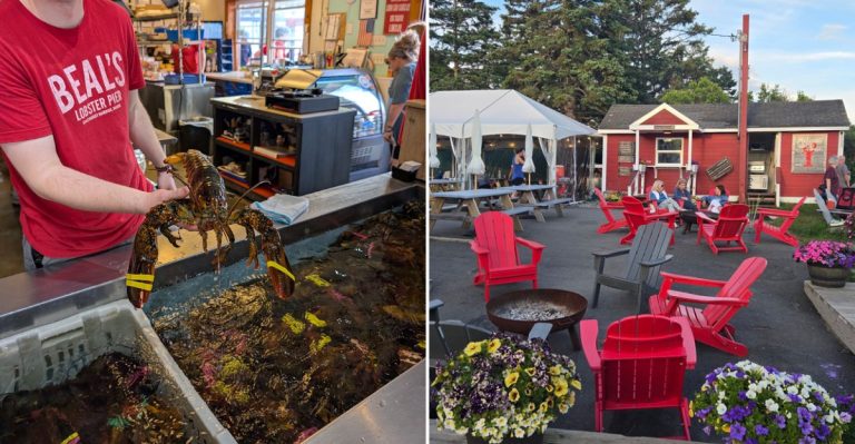 12 Maine Seafood Restaurants Worth The Drive Before Lobster Season Winds Down